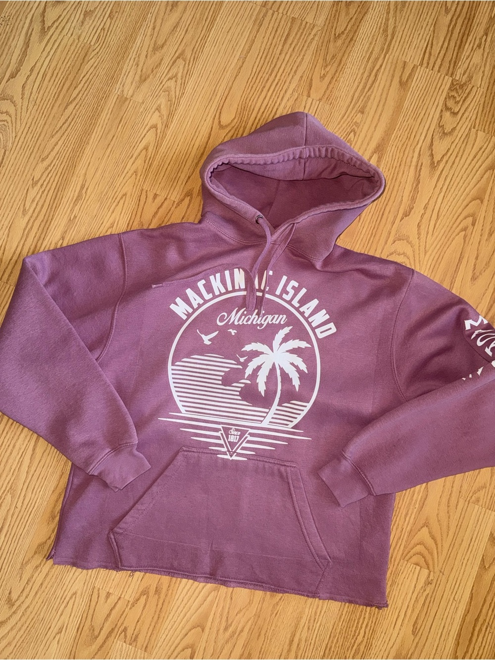 Authentic Mackinac Island Michigan Cropped Hoodie Mauve Pink Medium